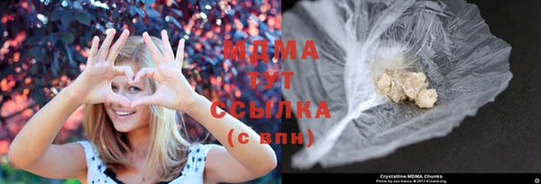 прущие грибы Гусь-Хрустальный