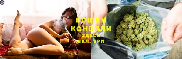 гидропоника Гусиноозёрск
