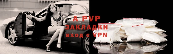 гидропоника Гусиноозёрск