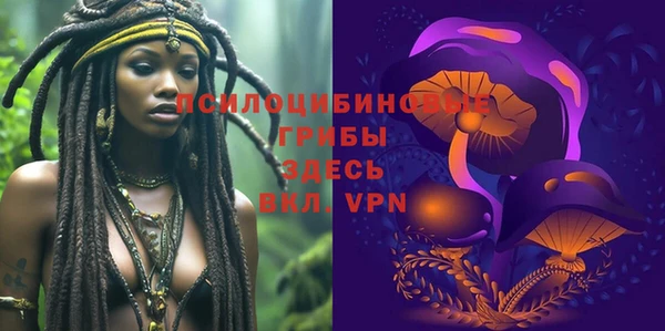 бошки Гусев