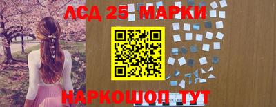 скорость Донской