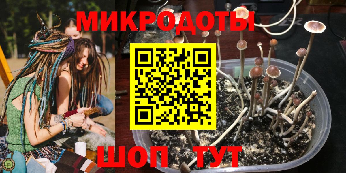 Псилоцибиновые грибы мухоморы Дмитров