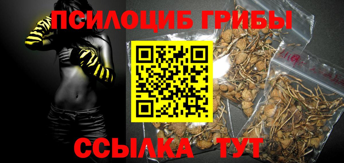 Галлюциногенные грибы MAGIC MUSHROOMS  Вход с VPN  Дмитров 