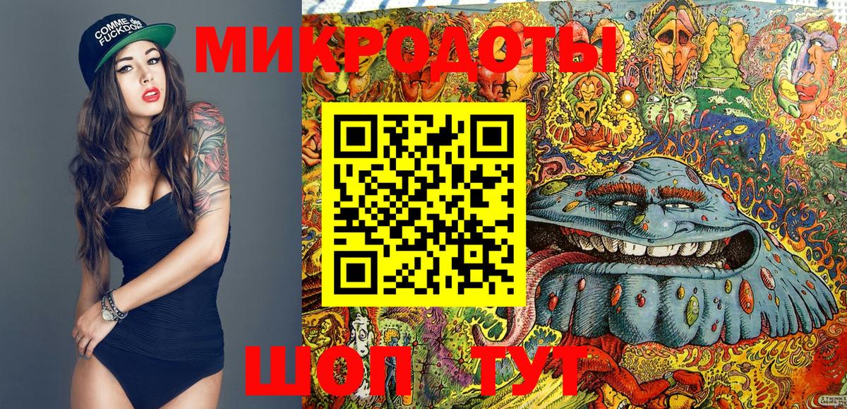 Галлюциногенные грибы Psilocybe  Дмитров 